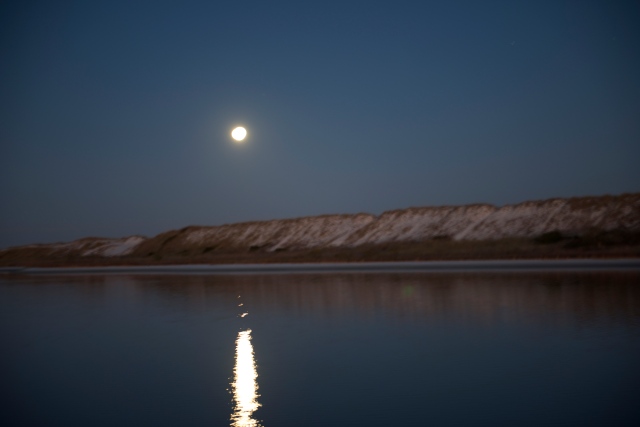 The moon sets over the spoil island on the east end of Big Lagoon.