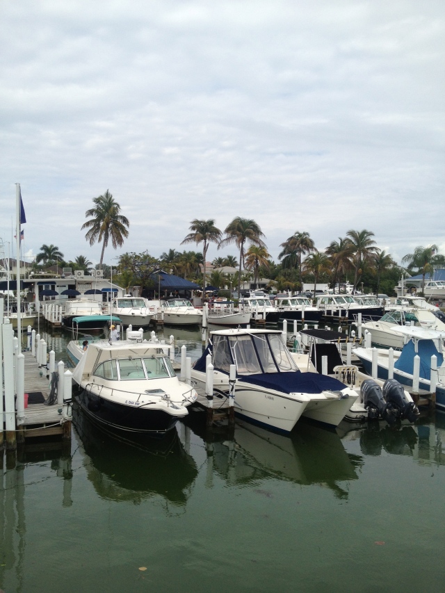 The marina.  What you do not see in this photo are the porpoises and the osprey patrolling the canals looking for fish.